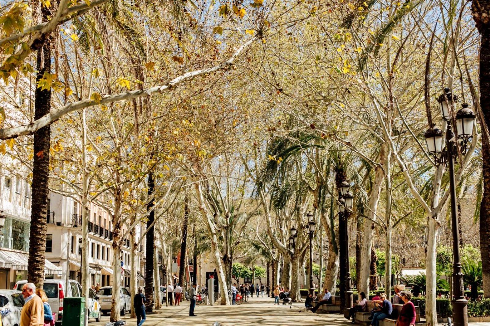 Plaza De La Magdalena I, Sevilla Centro Historico Exteriör bild